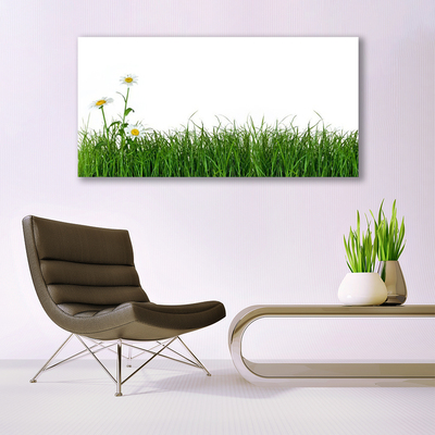 Glas schilderij Grass nature plant