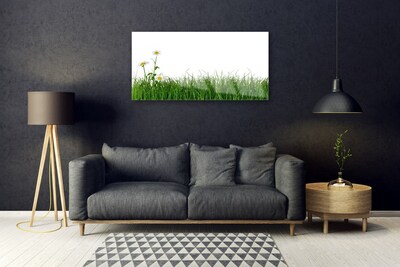 Glas schilderij Grass nature plant