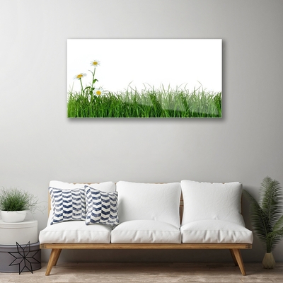 Glas schilderij Grass nature plant