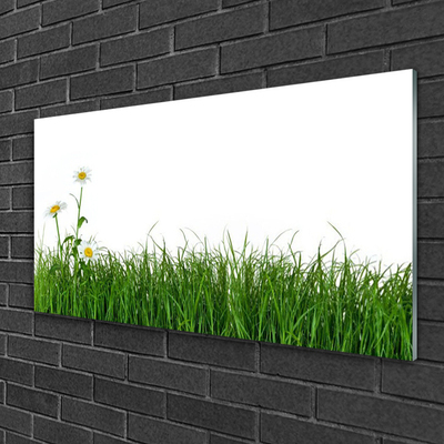 Glas schilderij Grass nature plant