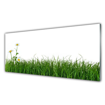 Glas schilderij Grass nature plant