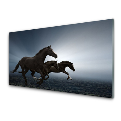 Glas schilderij Paarden dieren