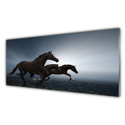 Glas schilderij Paarden dieren