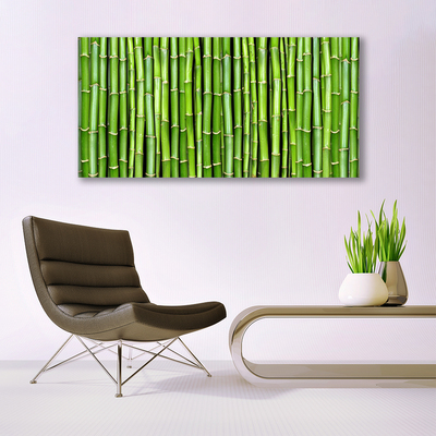 Glas schilderij Bamboo flower plant