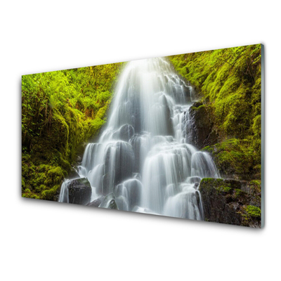 Glas schilderij Waterval natuur