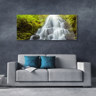 Glas schilderij Waterval natuur