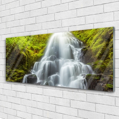 Glas schilderij Waterval natuur