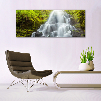 Glas schilderij Waterval natuur