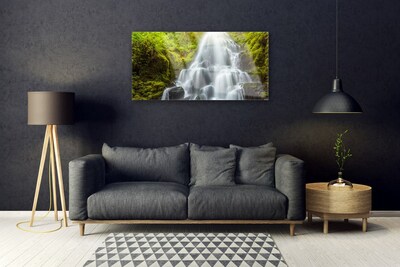 Glas schilderij Waterval natuur