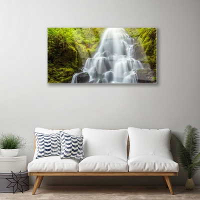 Glas schilderij Waterval natuur