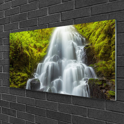 Glas schilderij Waterval natuur