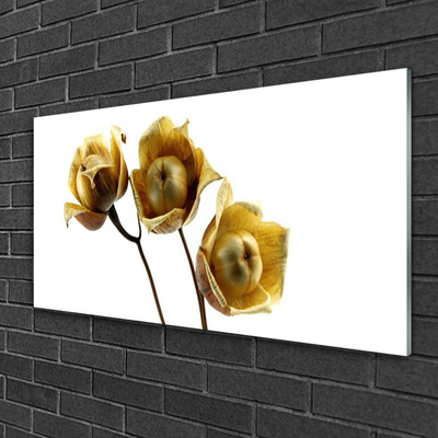 Glas schilderij Bloemen planten