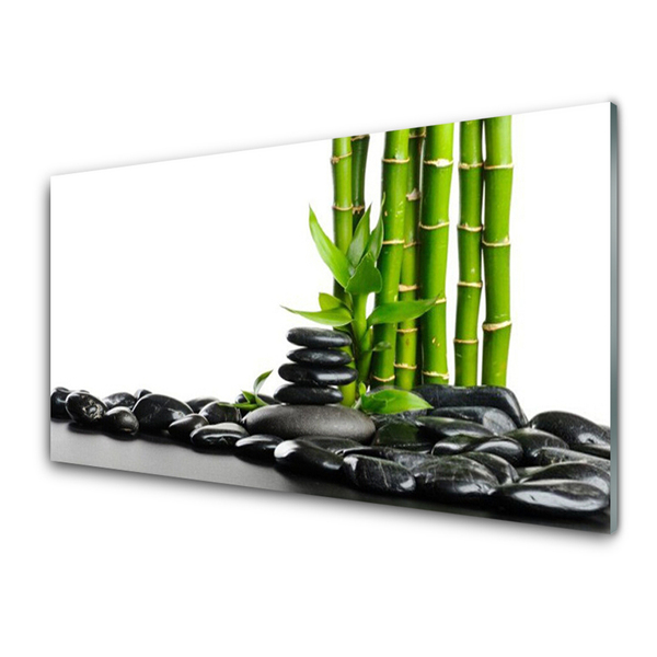 Glas schilderij Bamboo beautiful graphics