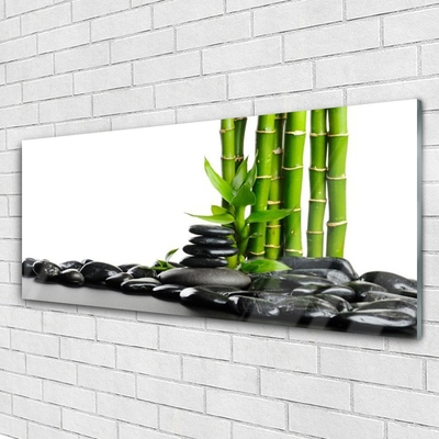 Glas schilderij Bamboo beautiful graphics