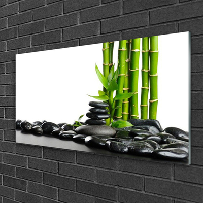 Glas schilderij Bamboo beautiful graphics