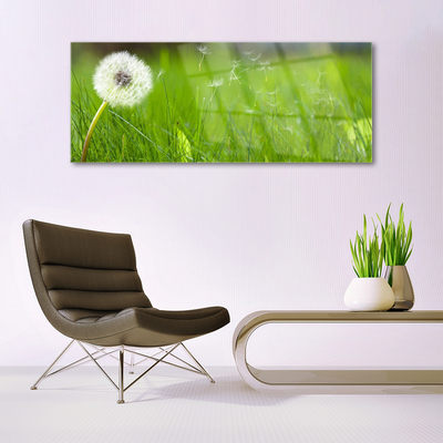 Glas schilderij Dandelion grass plant