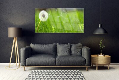 Glas schilderij Dandelion grass plant