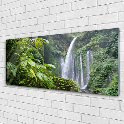 Glas schilderij Waterval natuur