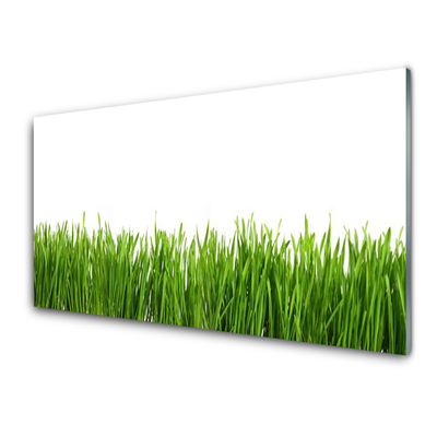 Glas schilderij Grass nature plant