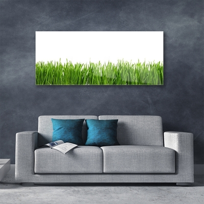 Glas schilderij Grass nature plant