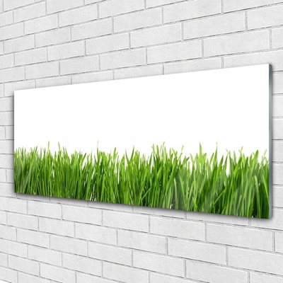 Glas schilderij Grass nature plant