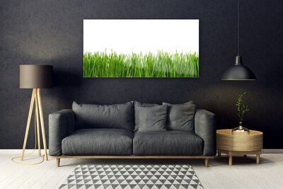 Glas schilderij Grass nature plant