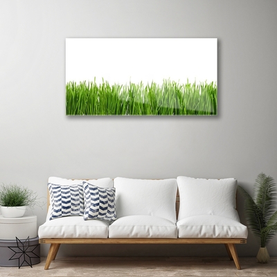 Glas schilderij Grass nature plant