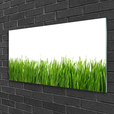 Glas schilderij Grass nature plant