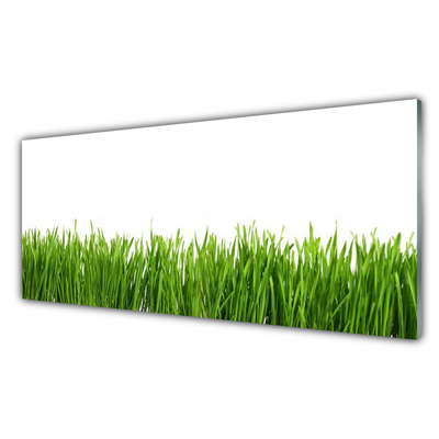 Glas schilderij Grass nature plant