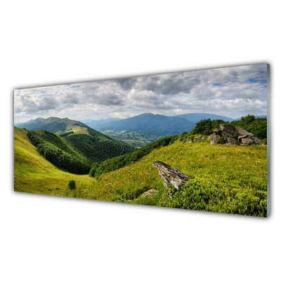 Glas schilderij Mountain meadow landscape
