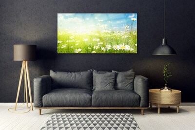 Glas schilderij Daisy meadow nature