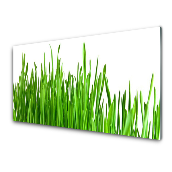 Glas schilderij Grass nature plant