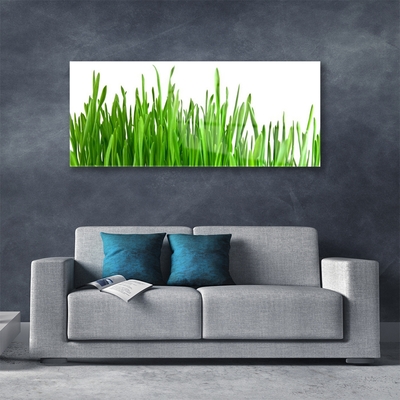 Glas schilderij Grass nature plant