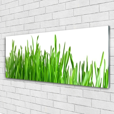 Glas schilderij Grass nature plant