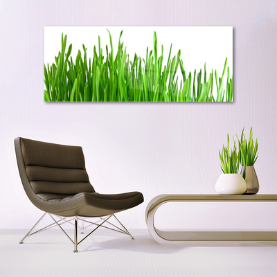 Glas schilderij Grass nature plant