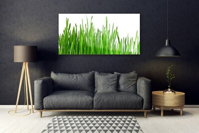 Glas schilderij Grass nature plant