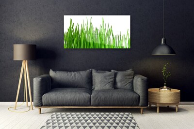 Glas schilderij Grass nature plant