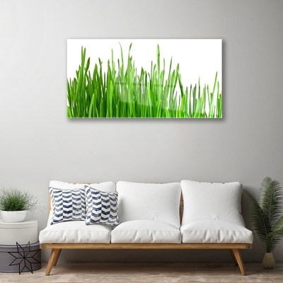 Glas schilderij Grass nature plant