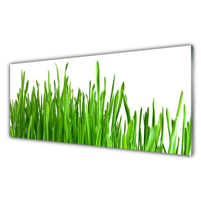 Glas schilderij Grass nature plant