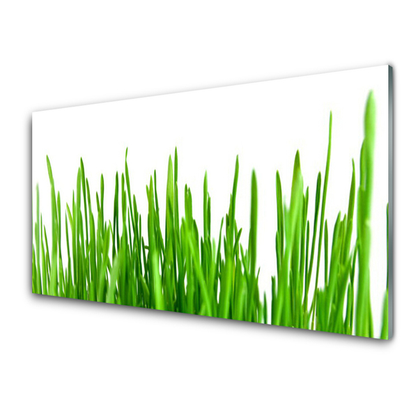 Glas schilderij Grass nature plant