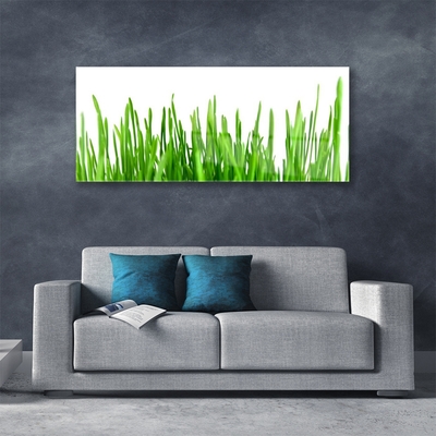 Glas schilderij Grass nature plant