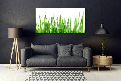 Glas schilderij Grass nature plant