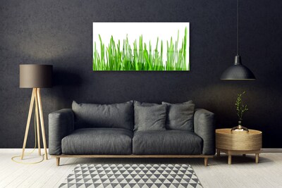 Glas schilderij Grass nature plant