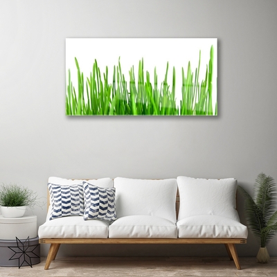 Glas schilderij Grass nature plant