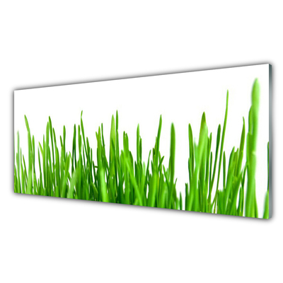 Glas schilderij Grass nature plant