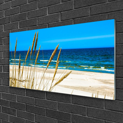 Glas schilderij Ocean beach landscape