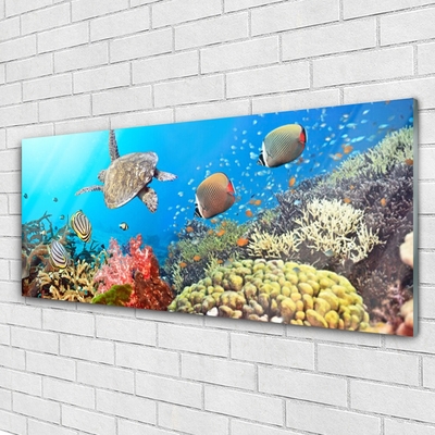 Glas schilderij Barrier reef landschap