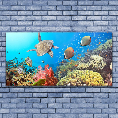 Glas schilderij Barrier reef landschap