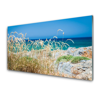 Glas schilderij Strandlandschappen