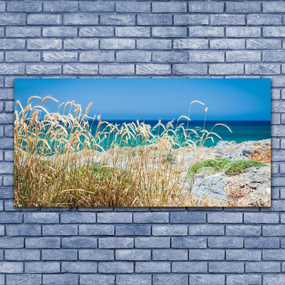 Glas schilderij Strandlandschappen